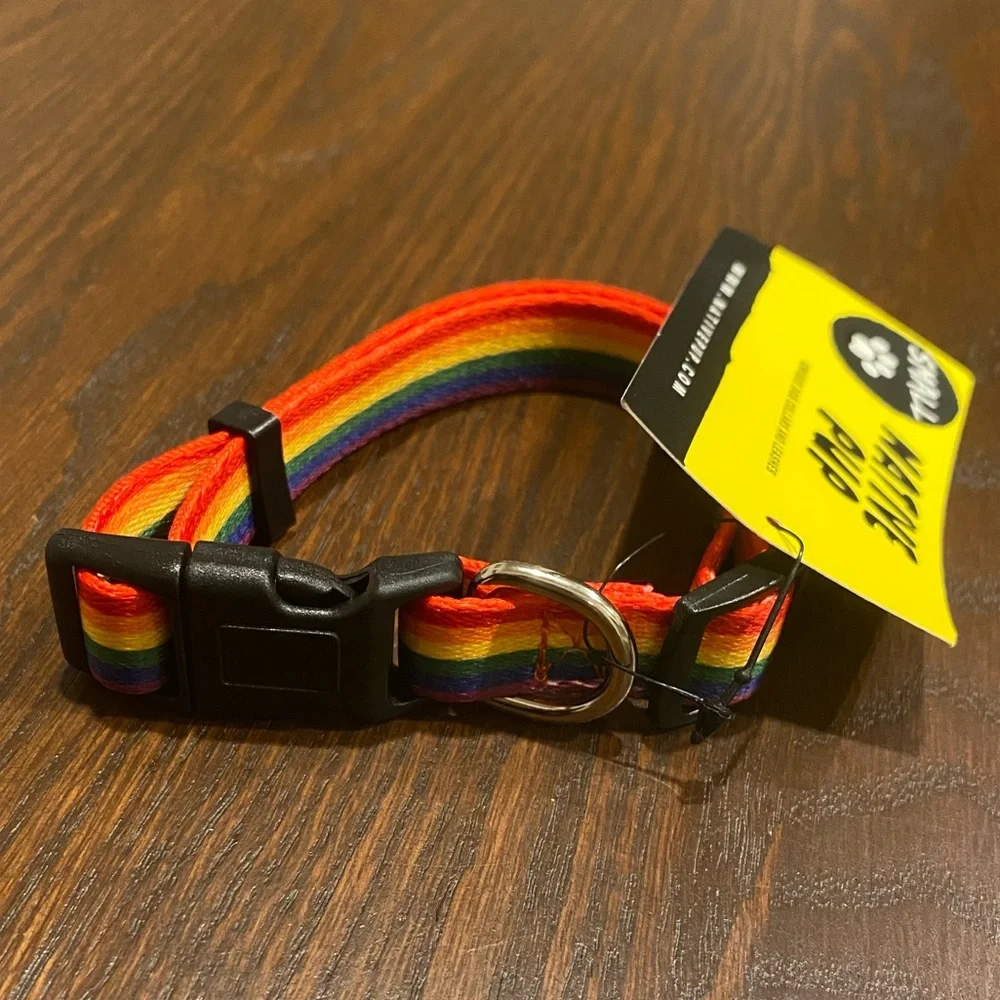 🌈 Rainbow Small Dog Collar 🌈 🐶